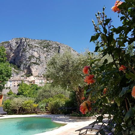 Bastide Des Oliviers Bed & Breakfast Moustiers-Sainte-Marie Exterior photo